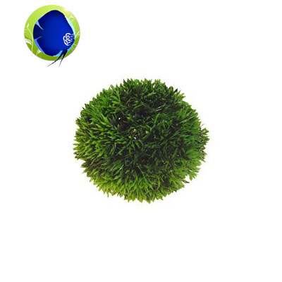 Hobby Plant Ball 9 cm - Kliknutím na obrázok zatvorte -